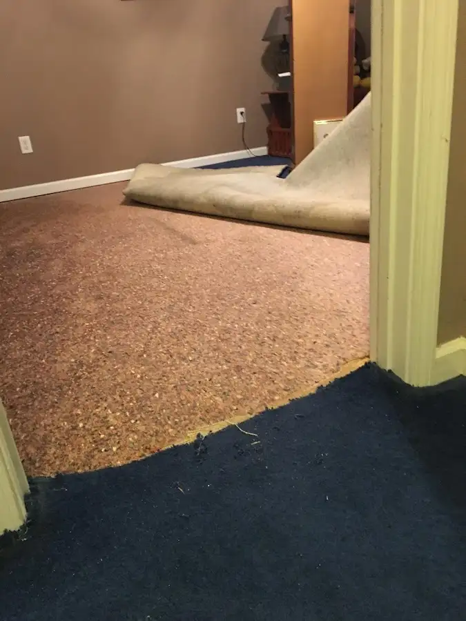 Carpet pad removal revealing water damage during Water Mitigation Services in Eagleton Village